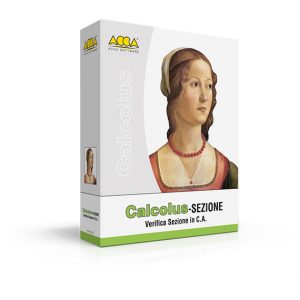 Calcolus-SEZIONE Calcolus-SEZIONE